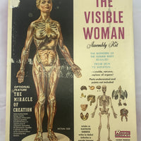 Visible Woman Model Kit - Renal - 1960 - New